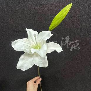 ���滨�ذ��ٺ� ��ɫϵ��Y���ŵ�피ٻ� ���^�쾰�b����컨
