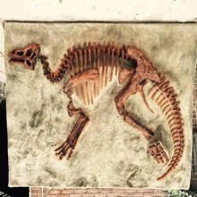 大型仿真恐龙玻璃钢骨骼化石恐龙仿真骨架摆件橱窗博物馆商圈化石