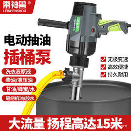 高浓度手提式大功率电动抽桶油泵220V抽油泵柴油防腐蚀加油抽液泵