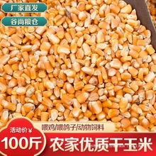 东北大玉米粒10斤干玉米粒喂鸡的饲料鸭鹅鸽粮100斤批发粮食苞米
