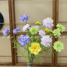 ����ʸ܇�� �����x�ݻ�С�r�� ��@���ʾռҾ��b[�� ��c�廨