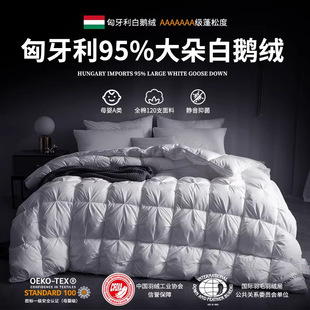 ��������Ʒ��q��95���Z�q���Ǽ��Ƶ��Z�q�������Ӻ��Ӵ��ﱻо