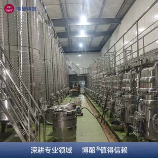 桑甚酒加工生产线  特色水果酒生产设备  柔性气囊压榨 智能酿造