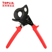 ��������TOPLIA��CC030001/02 �����քӼ�݆��|�����Q �ྀ�Q