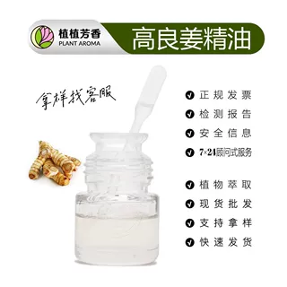 高良姜精油 蒸馏提取高良姜单方精油 Galangal Root oil 现货批发
