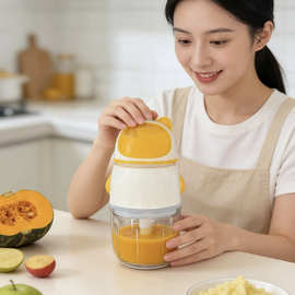 跨境辅食机婴儿宝宝料理机多功能自动打泥机工具小型佐料机