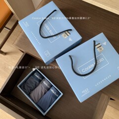 CookieKoala Glacier 10A マルベリーシルク抗菌パンツ、軽量、シームレス、通気性、柔らかく快適なメンズボクサーブリーフ
