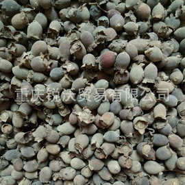 1公斤散装批发桃金娘干果捻子果山捻子干果