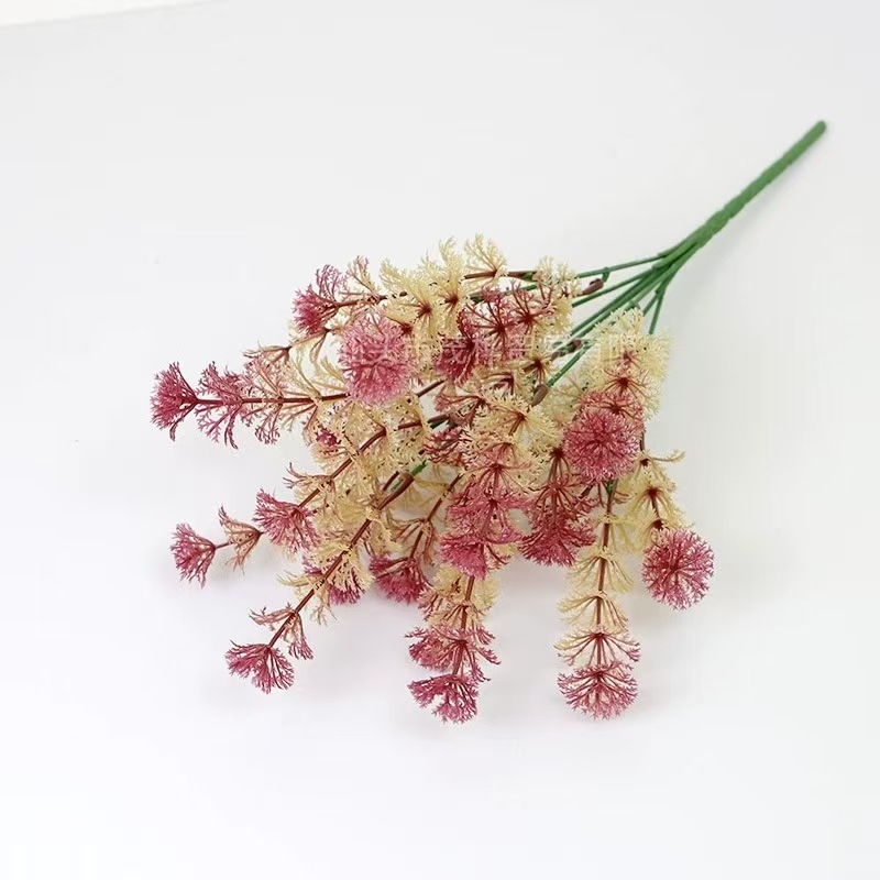 붉은 연꽃 속의 바닐라