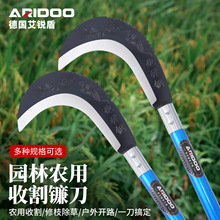 ���l�i�砵��r�È@���ո�ˮ������С�����������s���_·����砵�