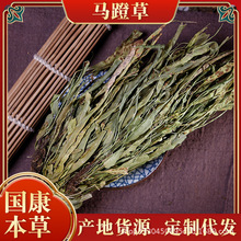 �R�Ų����l�e���^���߀ꖲ��R����Сʯ�f�ɲ�