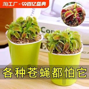 ��ω��������òݲ��x�ݓ�ω��ʳ�xֲ��ʳ�˻��i�\�ݴ��쳬��͏d