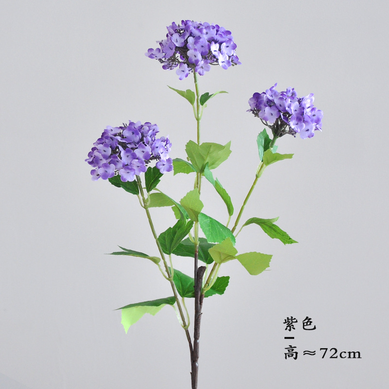 보라색