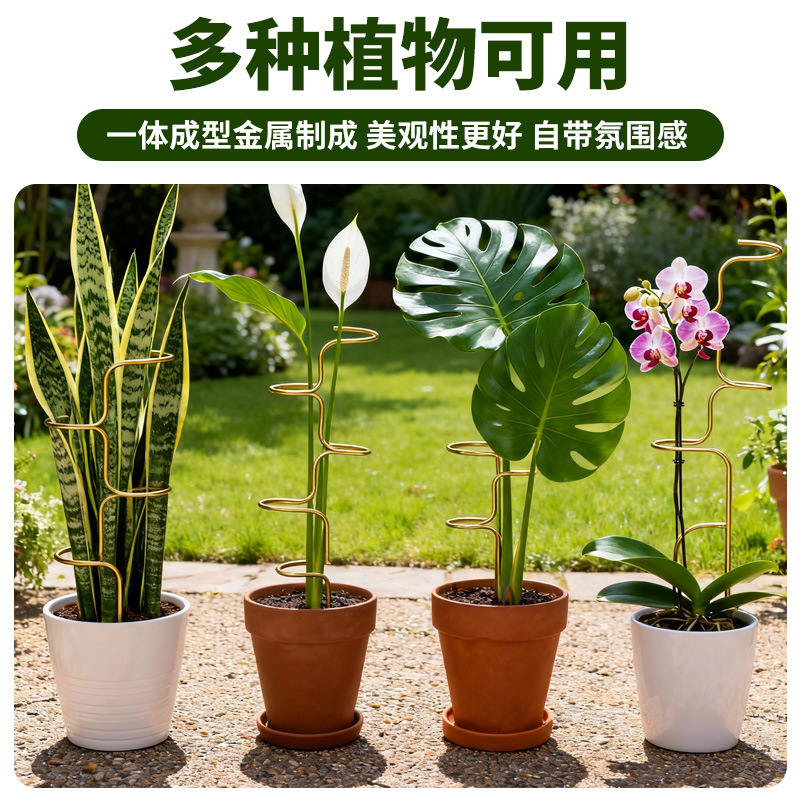 植物支撑架龟背竹防倒伏盆栽铁线莲支撑杆固定神器爬藤花架收拢架