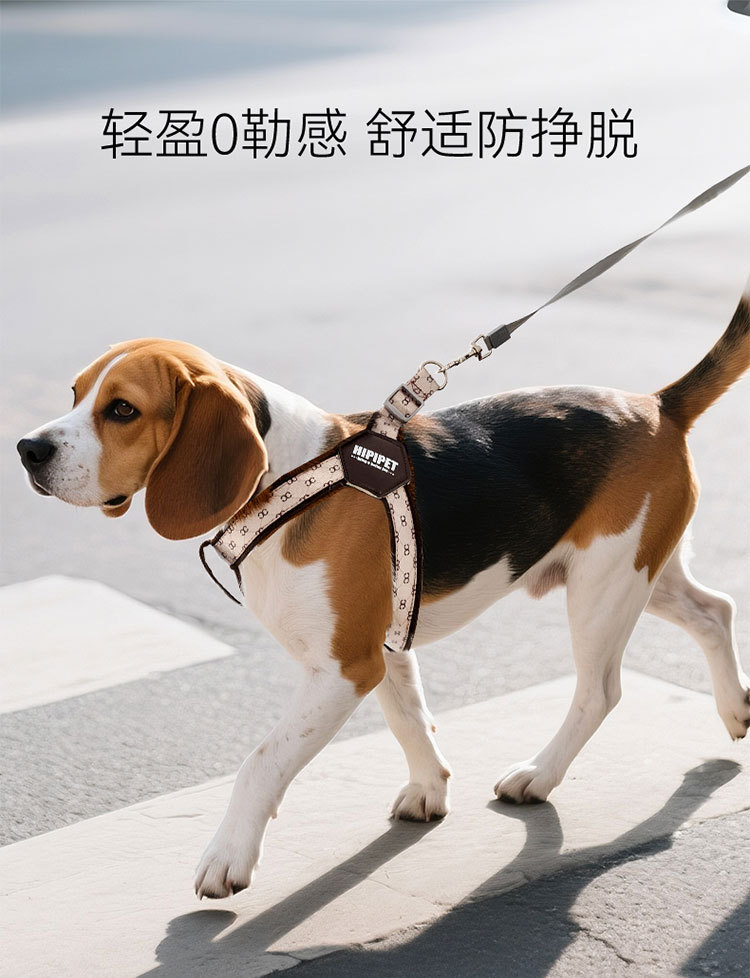 O1CN01Sia6qc1QS8tRm3ZgS_!!2206811161974-0-cib.jpg