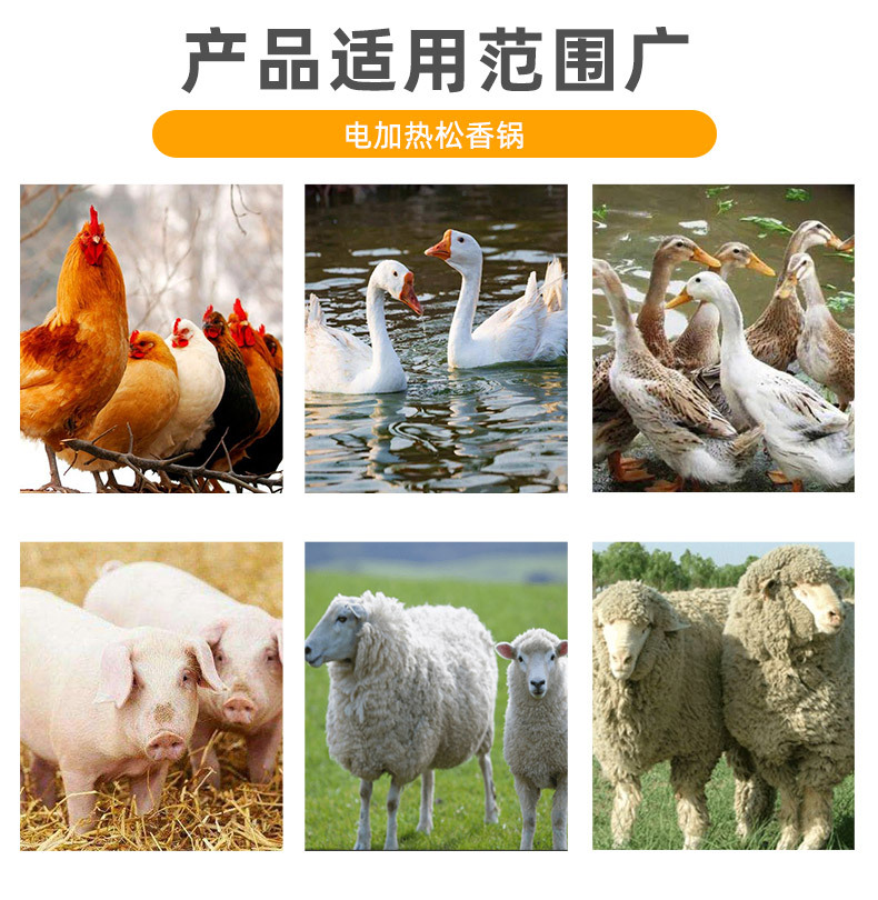 O1CN01SibFWd1tvZ09RTKLs_!!3877955964-0-cib.jpg?__r__=1691477995704