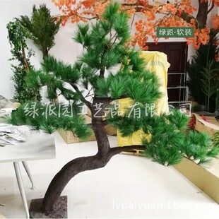 �����ɘ� ���깫Ԣ�h���������ɘ��˹�ֲ�� �٘����첣�����ᘘ�