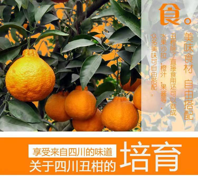 微信图片_20220107125724