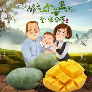 正宗四川攀枝花凯特芒果大芒果孕妇水果新鲜整箱当季应季现摘