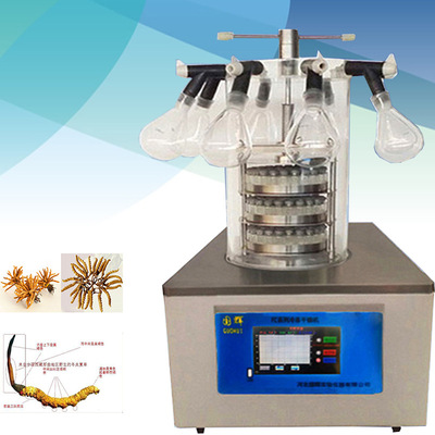 FC-10A蔬果脆片凍幹機菊花玫瑰花凍幹設備智能小型真空冷凍幹燥機