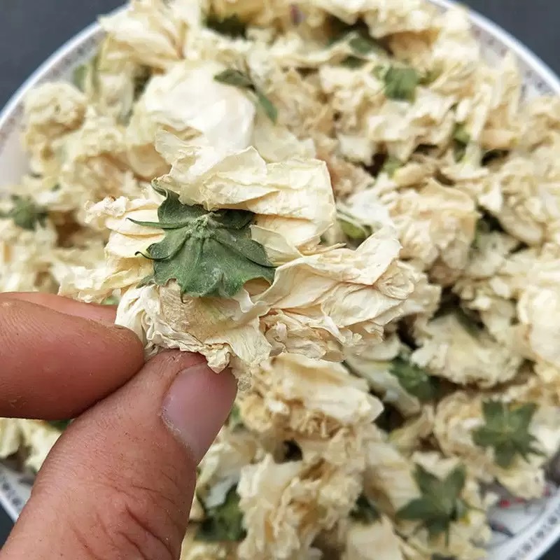 White Hibiscus Flower (Hibiscus syriacus) — Dried Herbal Tea & Wellness Botanicals 500g in use