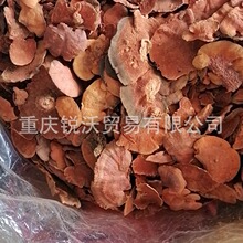 1公斤散装批发干品血红栓菌 朱红栓菌