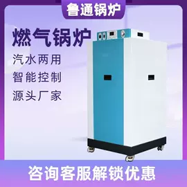 蒸汽发生器;燃气锅炉;燃生物质锅炉