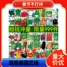 �߲˷N�Ӵ�ȫ�ļ����N�����̨��ݮ�����S�������Ϻ����˷N����