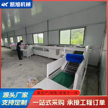 无损式智能选果机 哈密瓜梨苹果重量分级包装流水线 凯旭制造