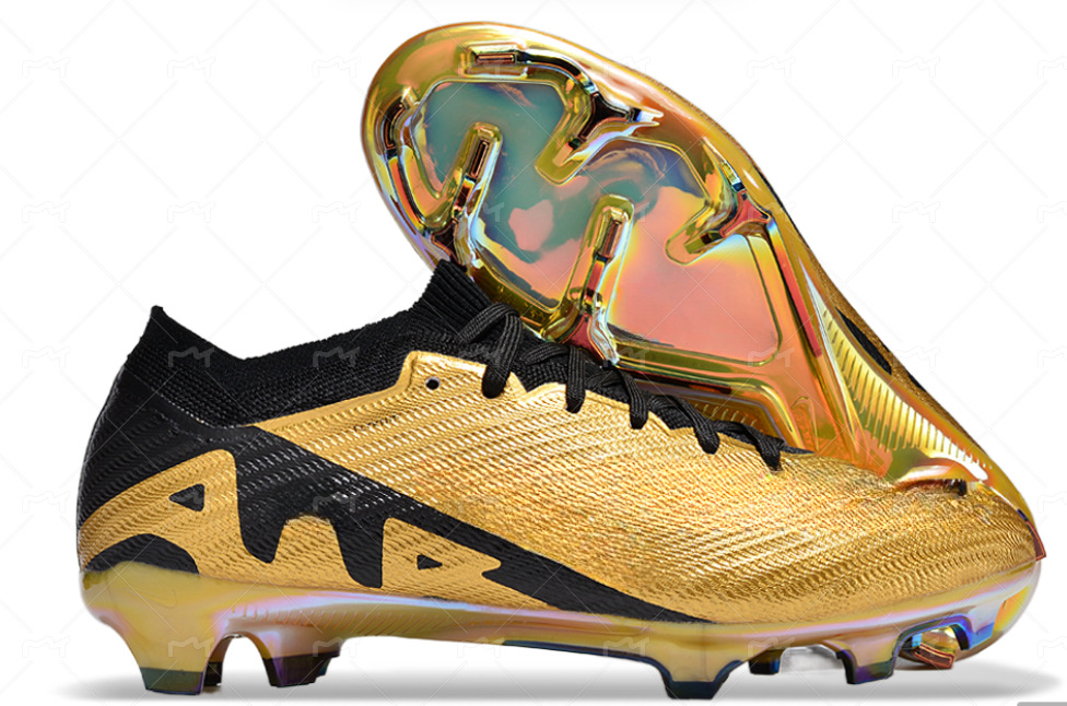 微信图片_20231226153802