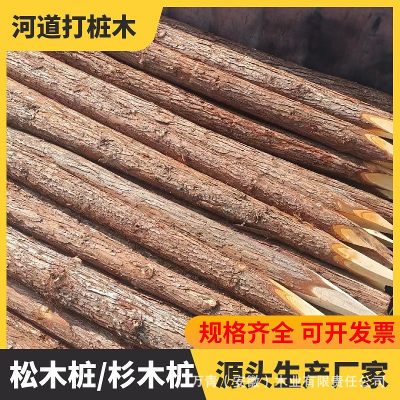 杉木桩打桩木户外河道护坡原木实木桩绿化杉木支撑杆抗洪木桩木方