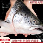 三文鱼头新鲜冷冻超大深海鱼头三文鱼边角料人吃烧烤煲汤海鲜水产