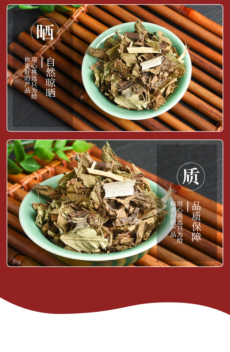 Ze Lan Herb (Lycopus lucidus) — Dried Chinese Herb for Decoction & Tea quality and texture