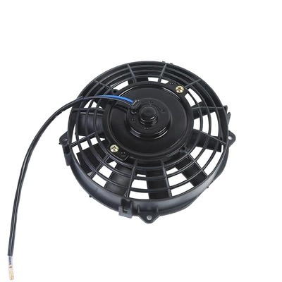 Digital Fan, Fan