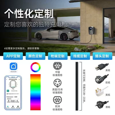 Standard Charging Station Type2 Wall-Mounted: Elektrikli avtomobil şarj stansiyaları