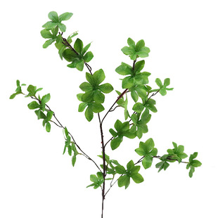 �Gɫ���滨ɭϵ��픾Gֲ�~�ӻ�c�������~��ˇ�b��߼ٻ��٘��~