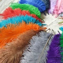 羽毛、羽绒;除尘掸