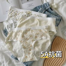 5条装婴儿棉A类内裤女棉碎花女生棉裆中腰少女5A女士新款