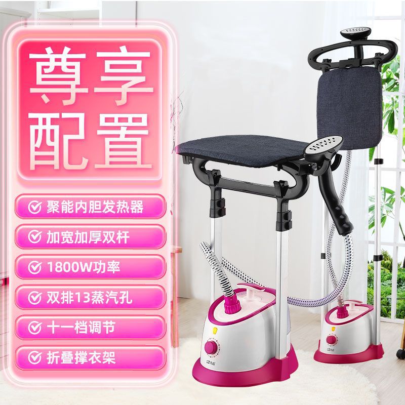 Household Double-Pole Steam Vertical Ironing Machine Small Ironing Handheld Electric Iron Clothes Machine Hanging Type High Power