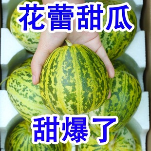�����㻨��9̖���ˮ�����r ����ˮ�������ϷǾG����ϲ������