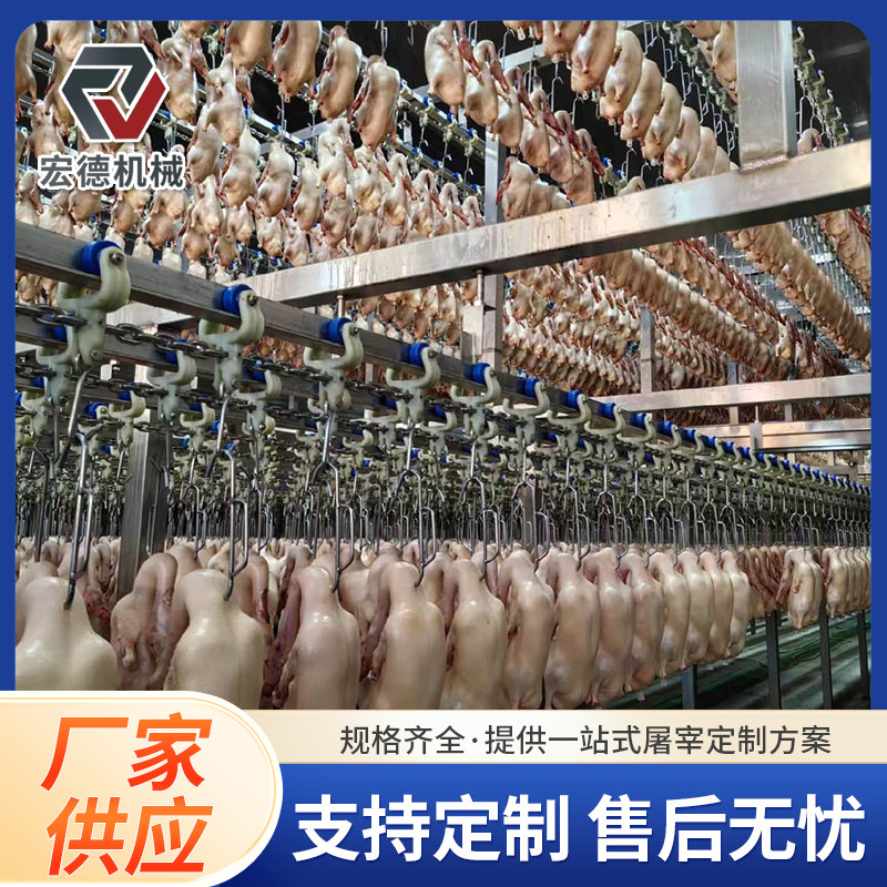 淘汰蛋鸡屠宰脱毛设备 肉鸡自动化分割流水线 小型家禽烫脱一体机