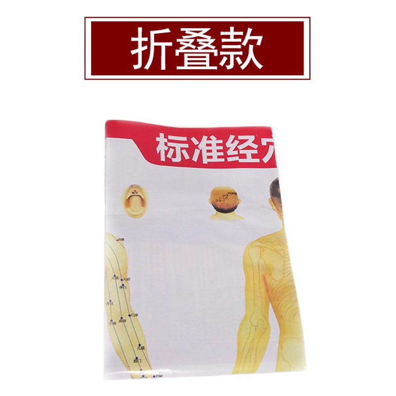 Diagrama estándar de meridianos y puntos de acupuntura del cuerpo humano, diagrama de moxibustión de alta definición, referencia para moxibustión, terapia de manos y pies de doble cara, diagrama de puntos de acupuntura de alta definición