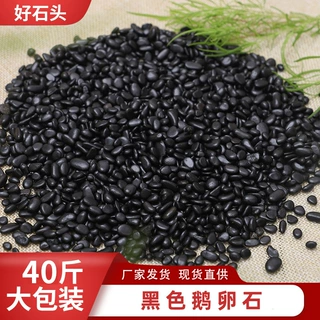 40斤装黑色鹅卵石批发抛光天然小黑石头景观黑石子雨花石雨花石