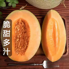 �Fժ���ܹ� ���r ɳ��������25̖�W�y�۹�һ�� ����ˮ�����]