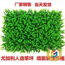 ?��ƺ��ɫ���m�Gֲ���ȼ������ϼٻ���ƺ��