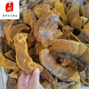 ɣ�S��ș��ɣ��ɣ�S��߅ɣ�S��Ȼɣ�S��ș�� �������� Ʒ�|����