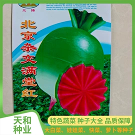 蔬菜种子