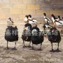 山东公园多少景区黑天鹅