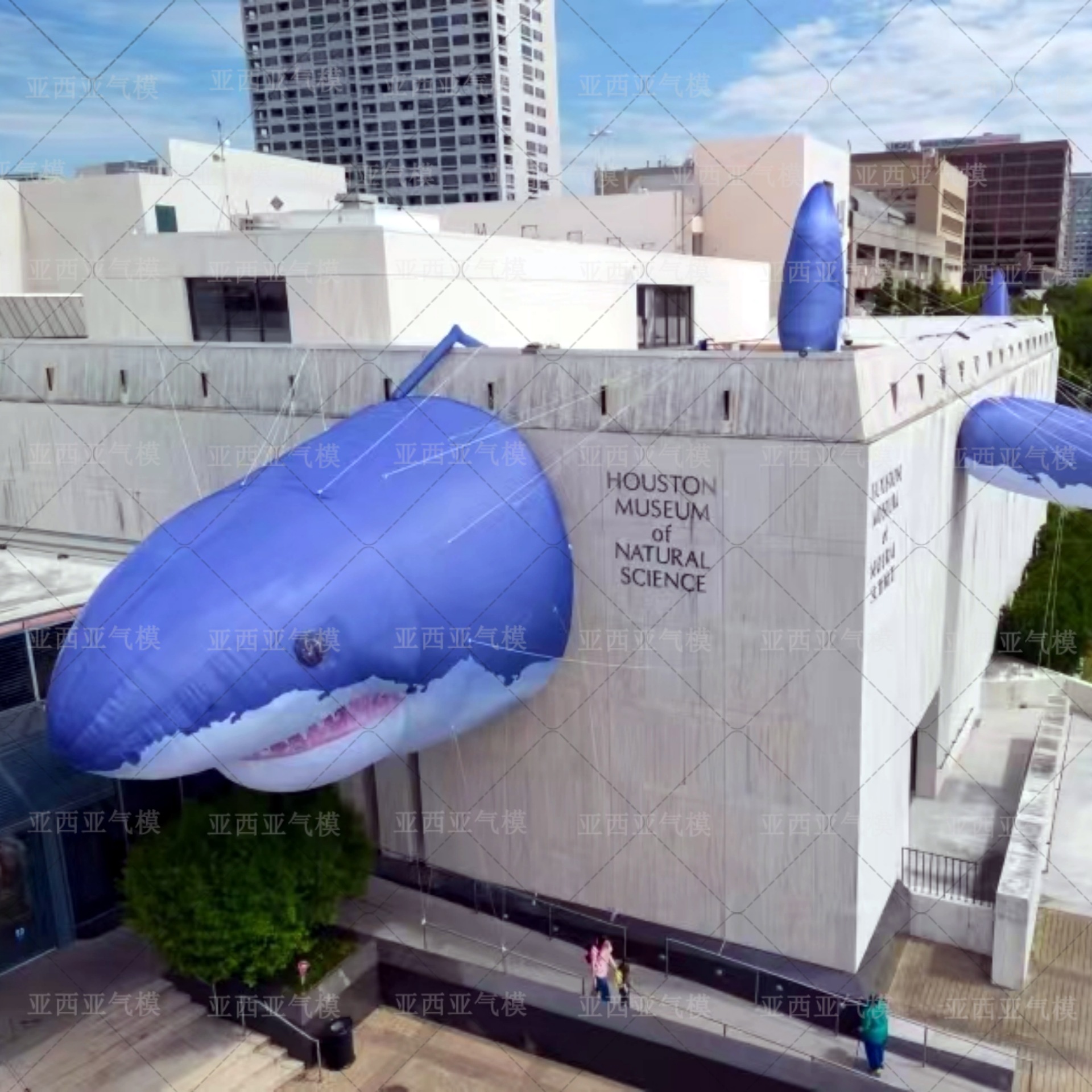 创意充气鲨鱼气模海洋主题乐园活动设计感美陈装饰网红装饰道具