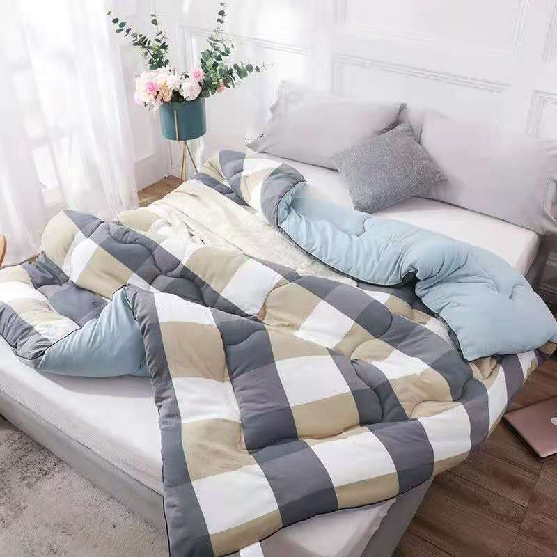 Special price quilt winter quilt core winter quilt plus student dormitory four seasons general spring and autumn quilt
